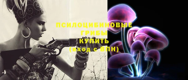 трава Богородицк